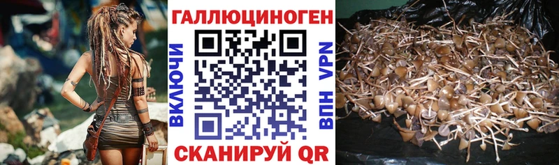 Галлюциногенные грибы Magic Shrooms  Спасск-Рязанский 