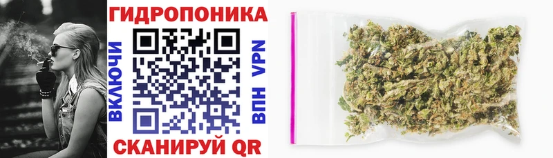 kraken   Спасск-Рязанский  Каннабис ГИДРОПОН 